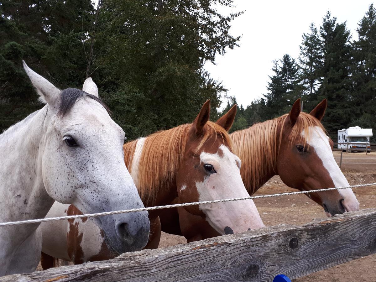 Paradise Acres Ranch Nanoose Bay Eksteriør bilde