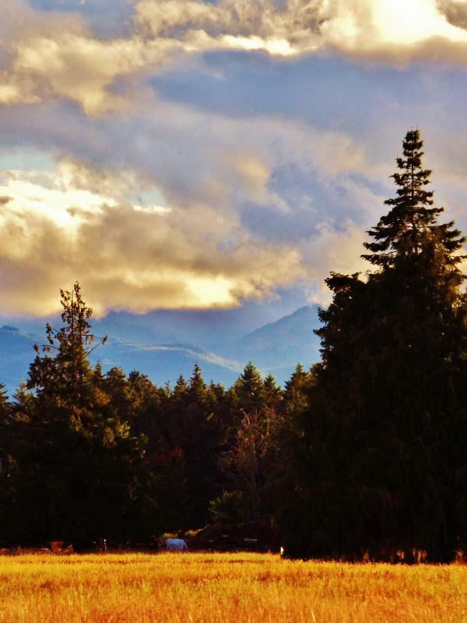 Paradise Acres Ranch Nanoose Bay Eksteriør bilde